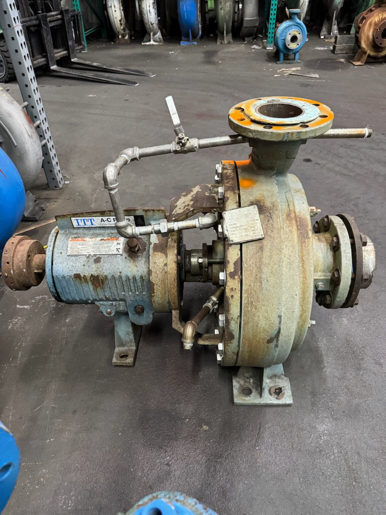 9925