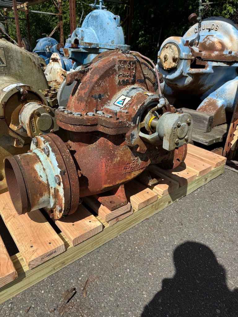 3926