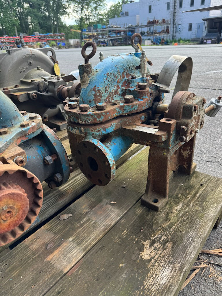 36491