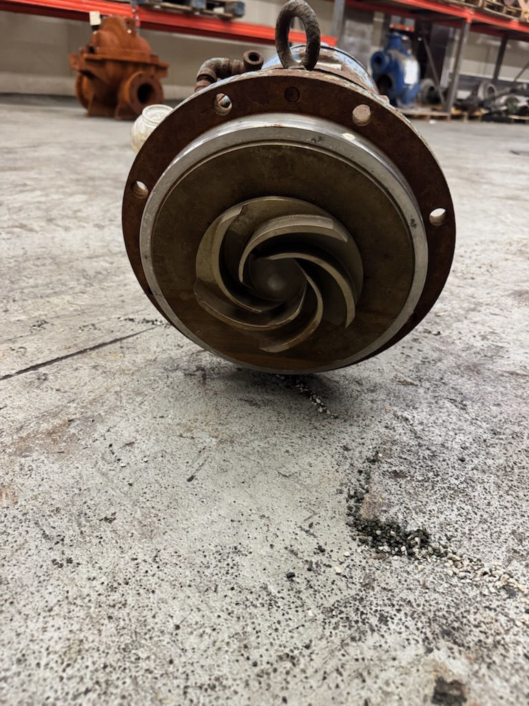 2445
