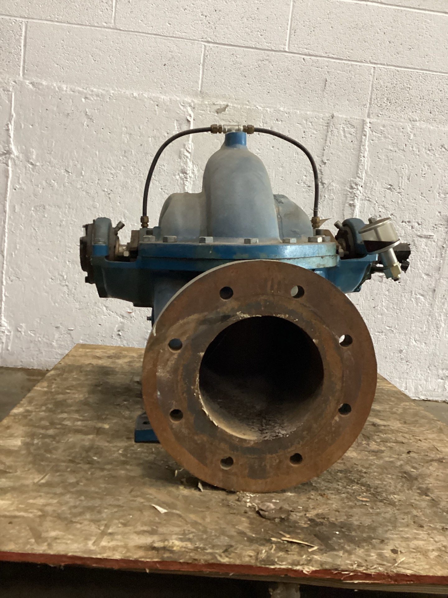H3302-C